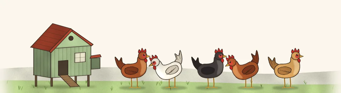 Illustrazione: un pollaio e cinque galline